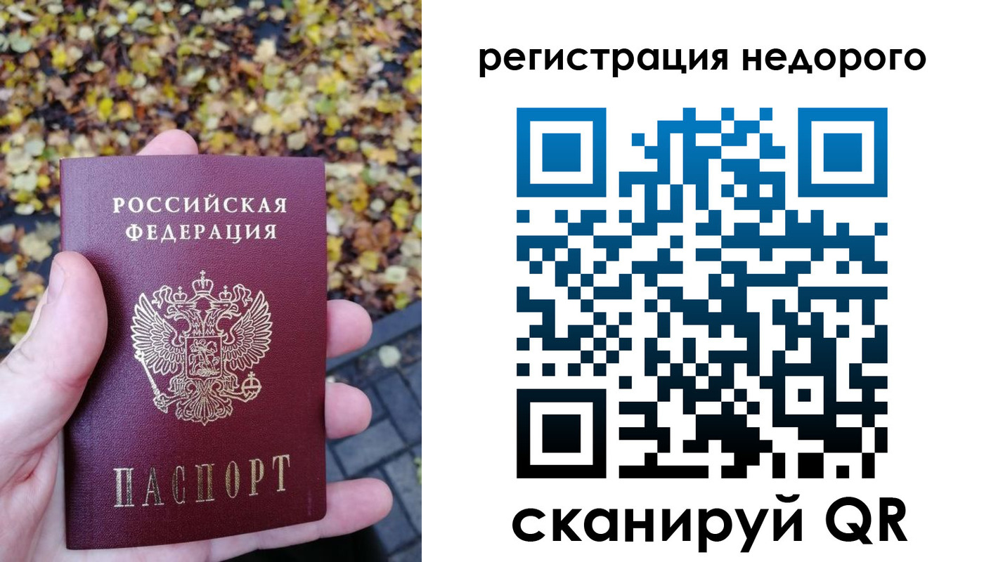 прописка для школы в Далматово